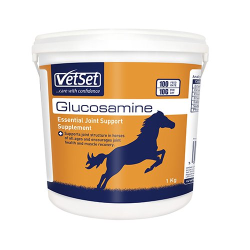 VetSet Glucosamine HCL 99 1kg D&H Direct