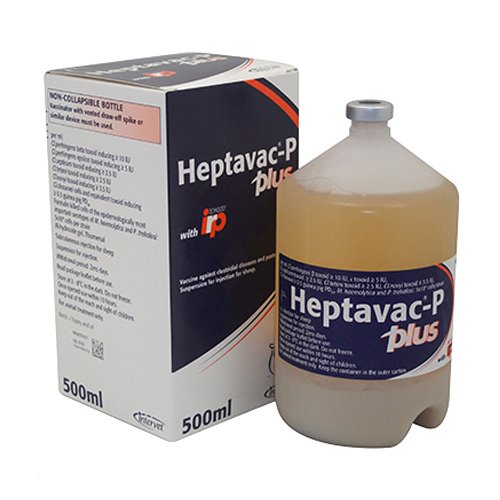OvivacP Plus 500ml POMVPS D&H Direct