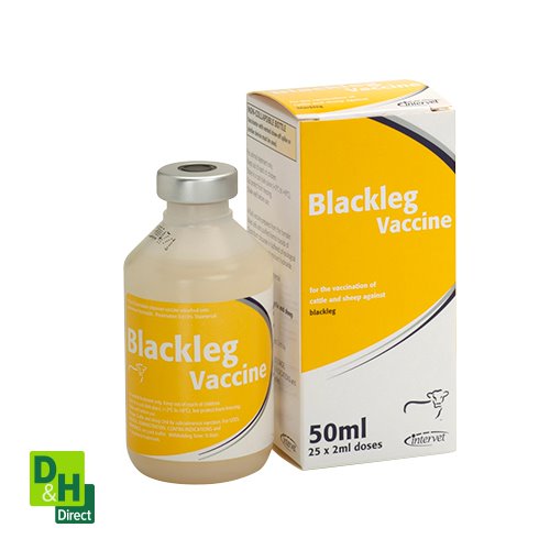 Blackleg Vaccine 50ml POMVPS D&H Direct